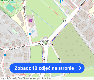 3pok-75m2 |Z TARASEM| Cicho i Zielono| Dobrze skomunikowane| Okazja! - Zdjęcie 1