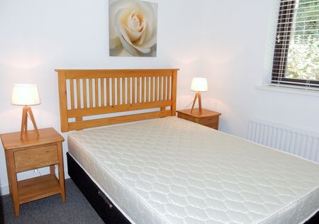 The Laurels, Rathfarnham, Dublin 14., D14 F242 - Photo 4