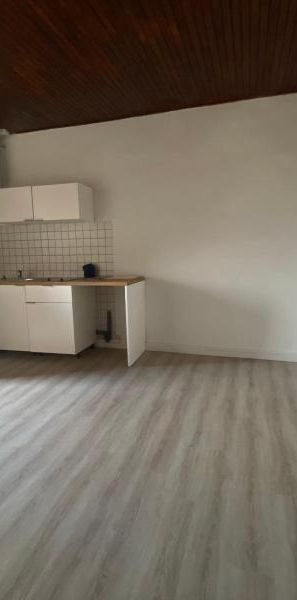 Location Appartement 1 pièce 25m² SETE 34200 - Photo 1
