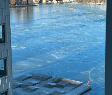 önologgagatan, Stockholm - Photo 2