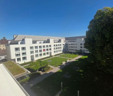 Ihr neues Zuhause in Linz! – Wohlfühlwohnung mit Dachterrassen-Flai... - Photo 5