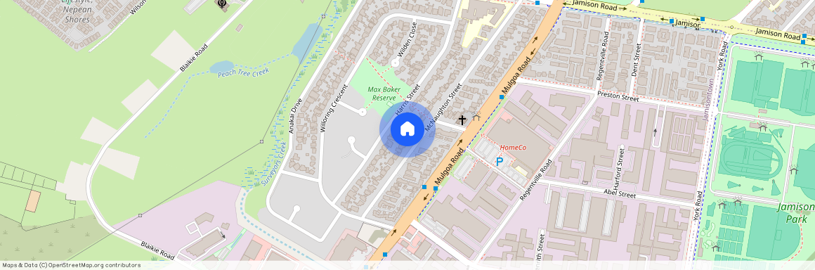 55 Mcnaughton Street, Jamisontown