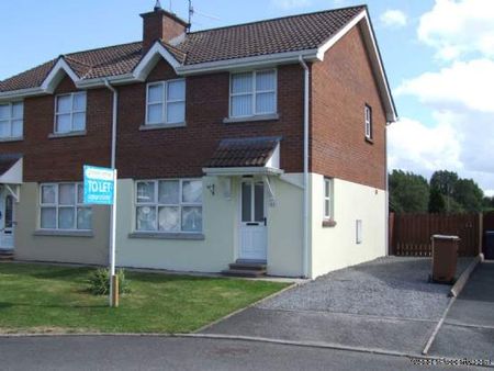 3 bedroom property to rent in Craigavon - Photo 3