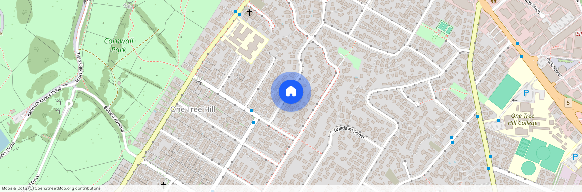 9 Kawau Road, Greenlane, Auckland City