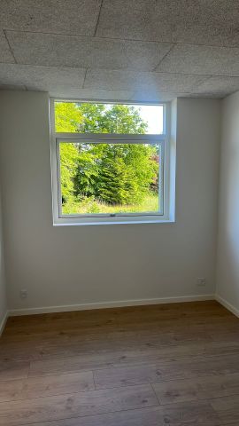 NYBYGGET, ENERGIVENLIGE OG MODERNE RÆKKEHUSE TIL LEJE PÅ JOHAN DEN MILDES VEJ - Foto 5