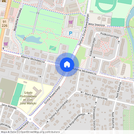 ul. Adama Mickiewicza, Pruszcz Gdański, gdański, pomorskie