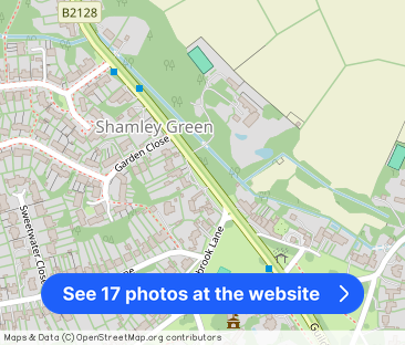 Shamley Green, Guildford - Photo 1