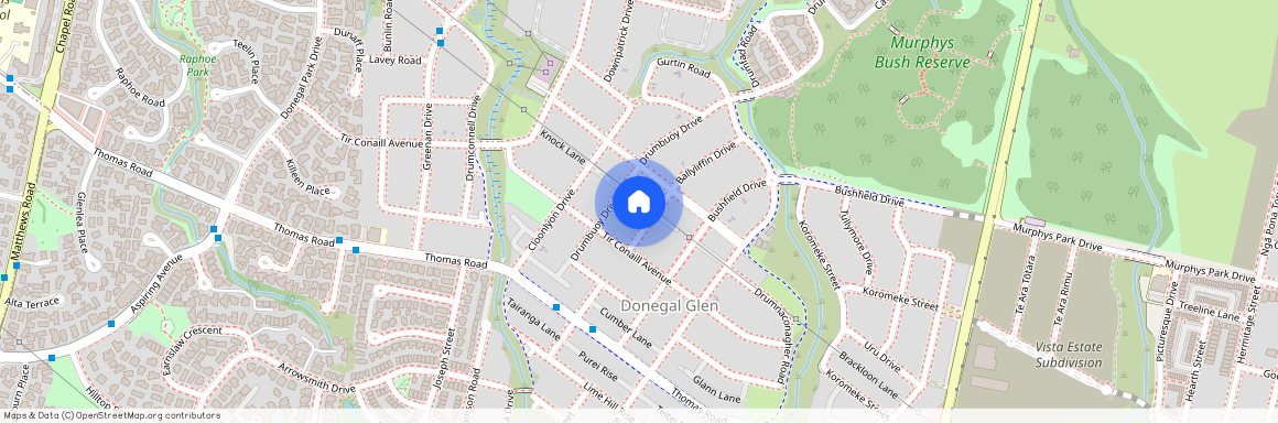 7 Ballyliffin Drive, Flat Bush, Manukau City