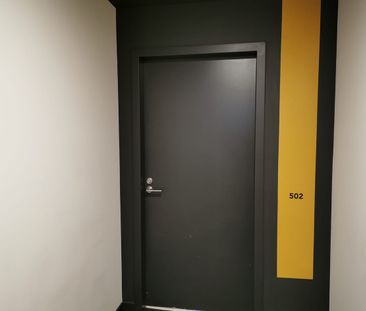 Stunning Apartment in the Heart of Box Hill! - Photo 3