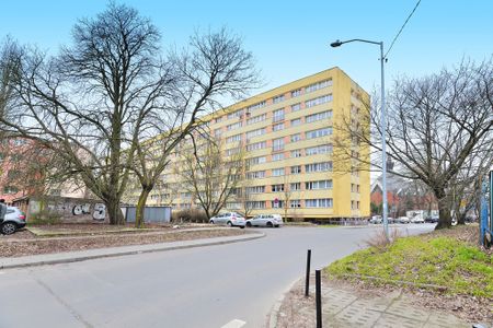 mieszkanie na wynajem Szczecin Śródmieście-Centrum - Zdjęcie 2