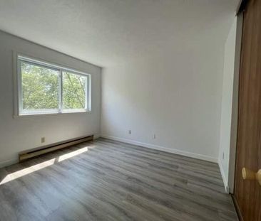 Appartement 1 chambre disponible dès maintenant à Longueuil - Photo 4