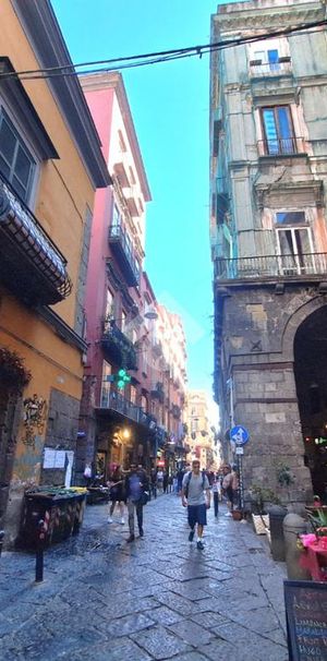 Trilocale in affitto - Photo 1