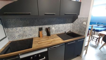 Location Appartement 1 pièce Meublé 30m² DAMMARTIN EN GOELE 77230 - Photo 4