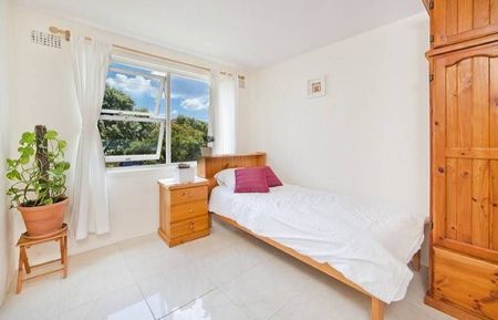 Freshwater, 8/1 Murray Road - Photo 4