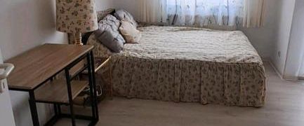 möblierte 1 Zimmerwohnung mit Balkon in 91275 Auerbach in der Opf - Foto 1