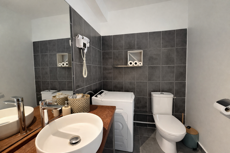 Location Appartement 1 pièce 26m² LE GOSIER 97190 - Photo 4