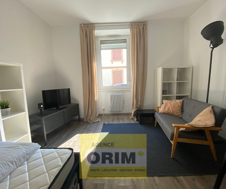 Location Appartement 2 pièces 27m² ST LOUIS 68300 - Photo 4