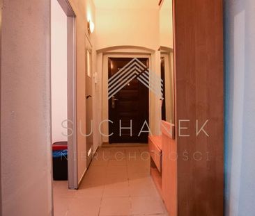 Mieszkanie na wynajem - Zdjęcie 2