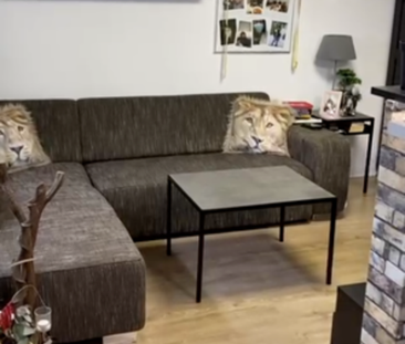 Souterrainwohnung - Foto 1