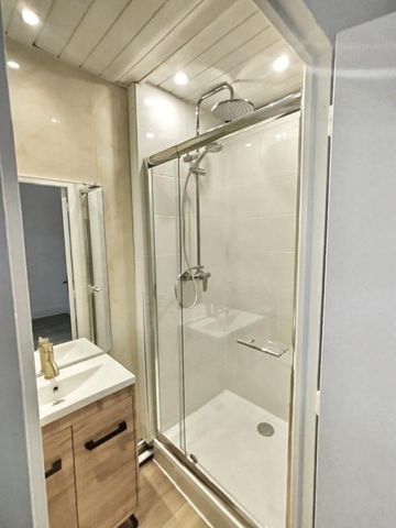 Location Appartement 1 pièce 30m² ROANNE 42300 - Photo 4