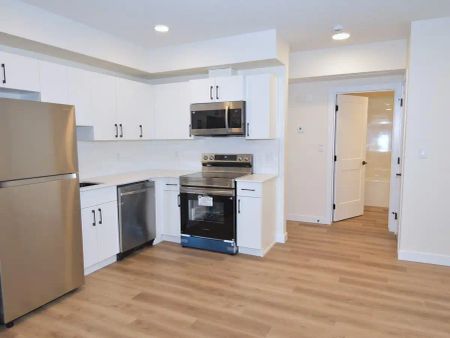 SF351 - Brand-New Duplex Homes in SW Edmonton | 5 Avenue SW (Alces) — SF351 - 1 Bed | 1 Bath Lower Suite 654 sf - Photo 2