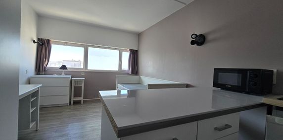 Location Appartement 1 pièce 17m² - Photo 2
