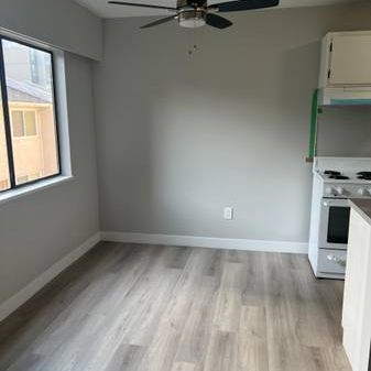 Newly Renovated Spacious 1 Bedroom Apartment (Unit 214) - Photo 3