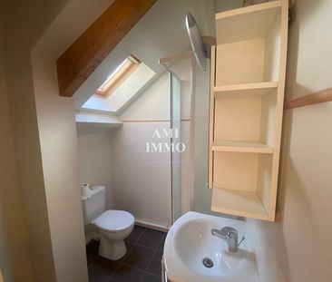 Location Appartement 1 pièce 20m² IGNY 91430 - Photo 4