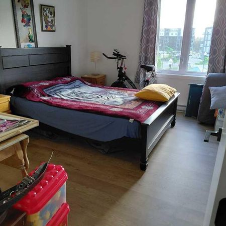 Logement 3 1/2 libre à partir du 11 juillet 2026 - Photo 4