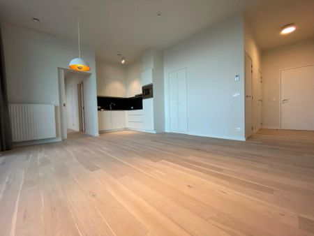 Nieuwbouw assistentiewoning te huur in De Panne - Photo 4