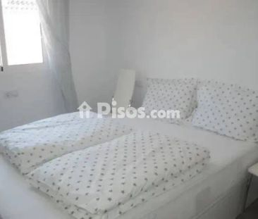 Piso en alquiler en los Balcones-Los Altos-Punta Prima - Photo 3