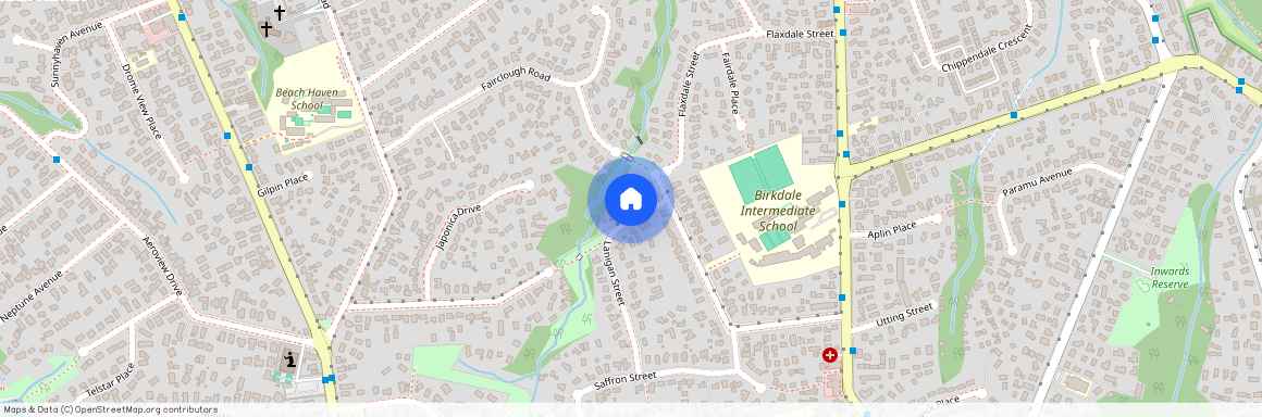 38 Lanigan Street, Birkdale, Auckland