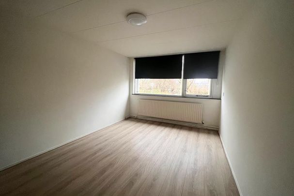 Van Polanenpark 162, Zijlwatering-haven, 2241RV, Wassenaar - Photo 1