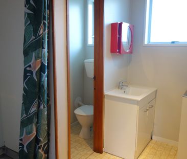 Tidy 2 Bedroom in Sydenham - Photo 5