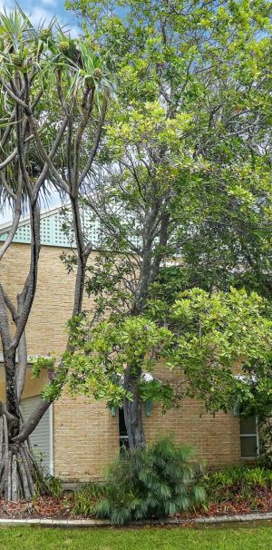 Coastal Living at Its Best – Just Moments from the Beach! - Photo 1