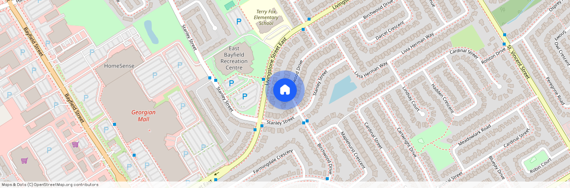 46 Birchwood Drive Unit# Lower, Barrie