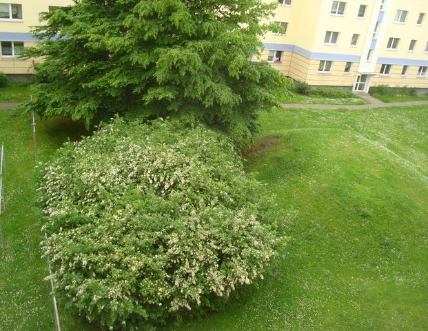 WG Zimmer zu vermieten - Foto 1
