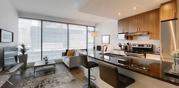1 chambre - 1380 René-Lévesque Ouest, Montréal - Photo 2
