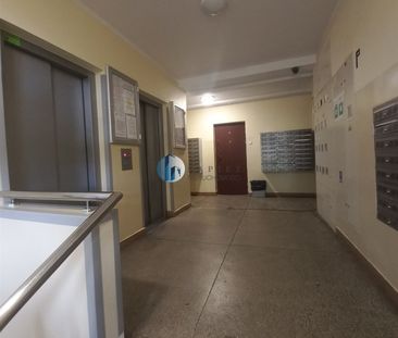 Warszawa, Śródmieście, Muranów, Anielewicza - Photo 6