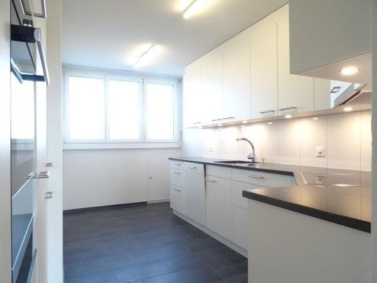 Moderne 4.5-ZW à 119m2 im DG mit Terrasse - Foto 1