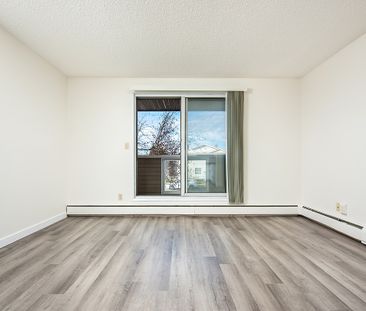 Daly Grove - Photo 4