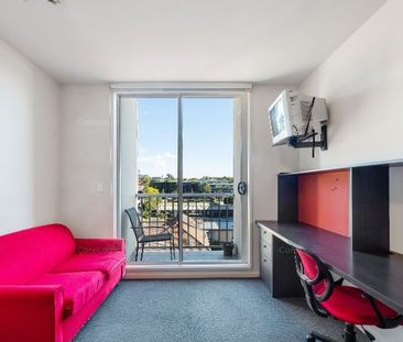 66/16-18 Poplar Street, Box Hill VIC 3128 - Studio For Rent | Domain - Photo 1