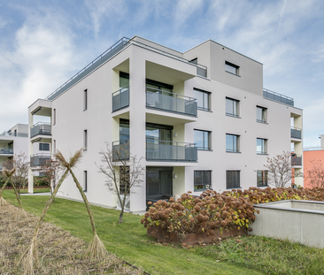 Sonnige Aussichten für Familien - Foto 5