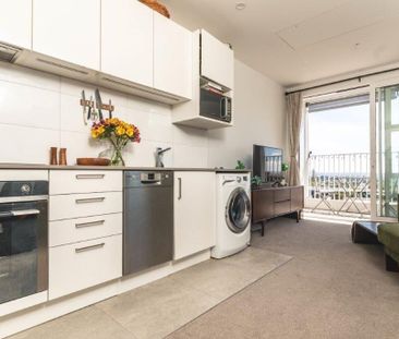 Charming Corner Apartment Mount Eden - Photo 6