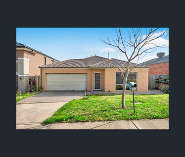 36 Macumba Drive, Clyde North, Vic 3978 - Photo 4
