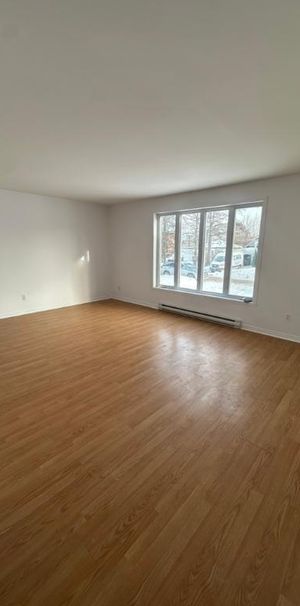 appât à louer - Photo 1