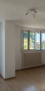 À louer / Appartement F2 / BESANCON CHALEZEULE 49 rue de Chalezeule - Photo 1