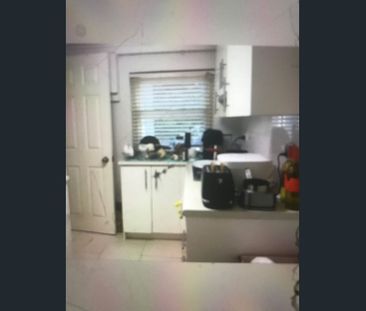 LANE COVE: BARGAIN 1 Bed garden unit inc all bills pet cons inc ele... - Photo 3