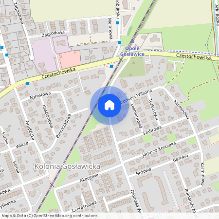ul. Thomasa Wilsona, Kolonia Gosławicka, Opole, opolskie