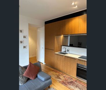 Designer Studio / 1 Bedroom in Award Winning Building by Sydney Park! - Photo 5